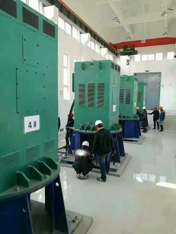 肃北某污水处理厂使用我厂的立式高压电机安装现场