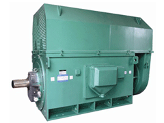 肃北Y系列6KV高压电机生产厂家